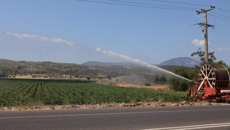 Αγροτική καλλιέργεια